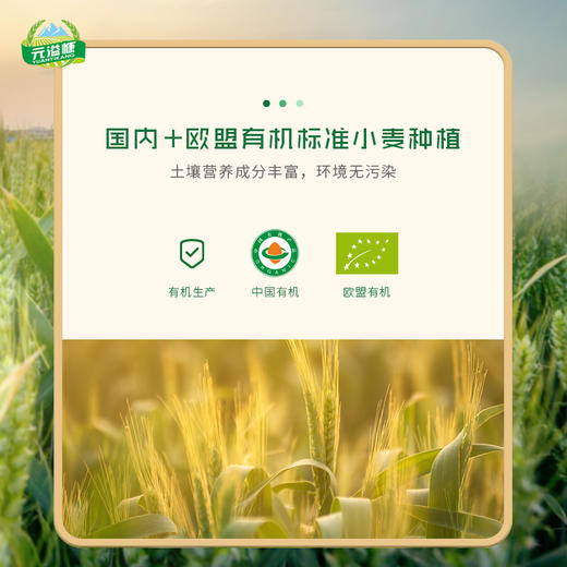 【云上供销】元溢慷 有机沙棘面#200g/包*5 商品图8