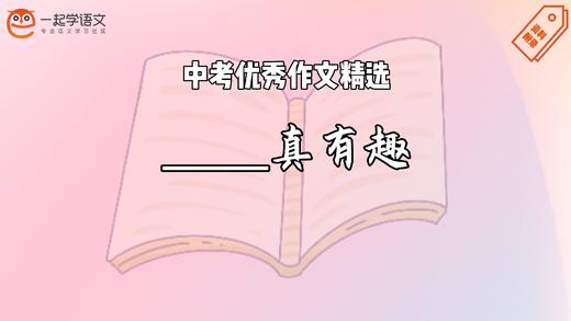 中考优秀作文精选：____真有趣 商品图0