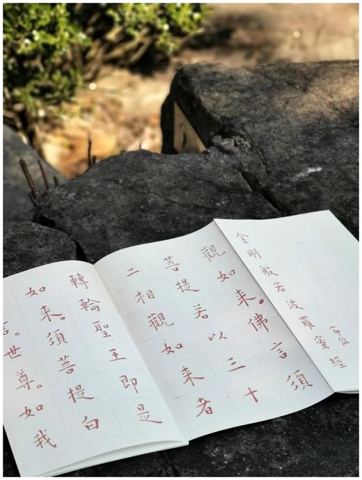 《节录金刚般若波罗蜜经》《般若般罗密心经》，信封装，折页，原大高清单面印刷，售价35包邮。 商品图9