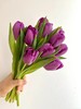 紫色郁金香10支 商品缩略图1