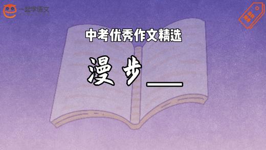 中考优秀作文精选：漫步____ 商品图0