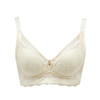 都市丽人舒软挺塑调整型内衣AB:中厚3/4杯蕾丝塑身文胸四排无钢圈LJ31A1 商品缩略图6