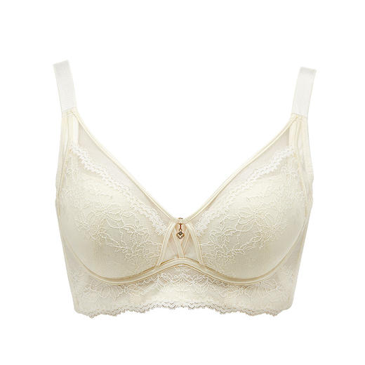 都市丽人舒软挺塑调整型内衣AB:中厚3/4杯蕾丝塑身文胸四排无钢圈LJ31A1 商品图6