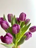 紫色郁金香10支 商品缩略图4