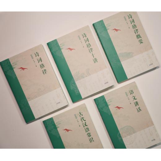 王力五书：《诗词格律》《诗词格律十讲》《诗词格律概要》《古代汉语常识》《语文讲话》 商品图5
