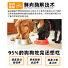 【全新升级】冒险与它冻干双拼狗粮500g鸡肉美毛配方 0添加 蛋白质≥29%护肠胃 乱价包退！ 商品缩略图2