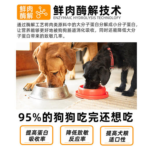 【全新升级】冒险与它冻干双拼狗粮500g鸡肉美毛配方 0添加 蛋白质≥29%护肠胃 乱价包退！ 商品图2