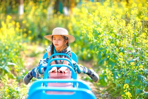 【欢乐田园+酒店全含】「欢乐田园野趣酒店」 商品图8