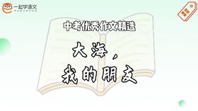 中考优秀作文精选：大海，我的朋友