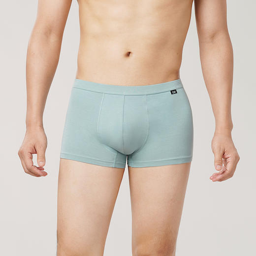 都市丽人简约基础棉拉架平角裤男士内裤FK3CA6 商品图0