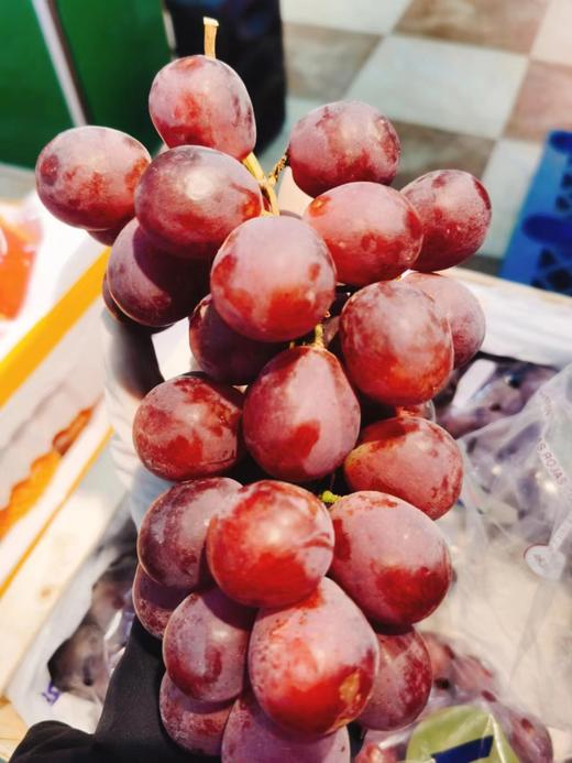 进口红提一斤（拼团） 商品图1