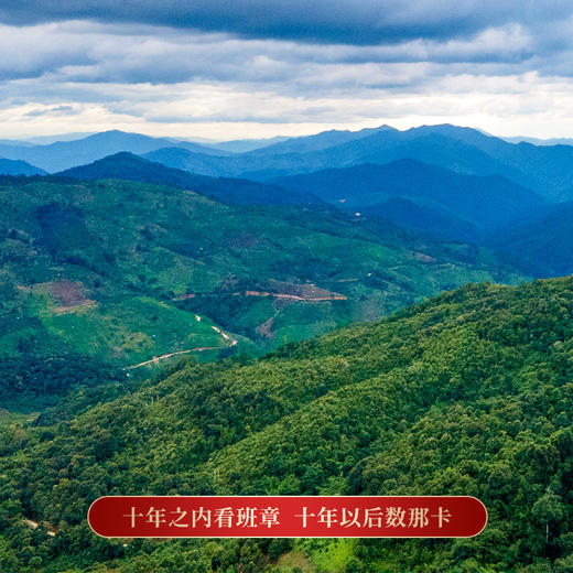 【那卡龙珠】开年福利一斤装那卡龙珠福利价回馈普洱茶生茶勐海茶区龙珠100-200年古茶 商品图6