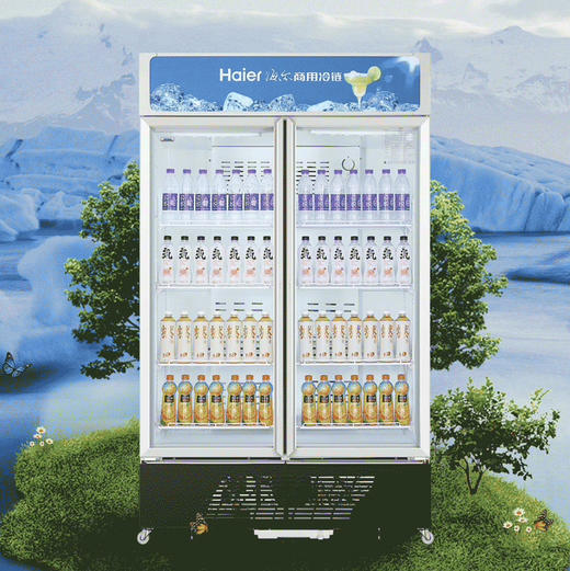 海尔（Haier）商用展示柜SC-650HS 商品图2