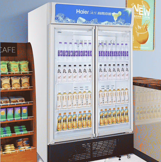 海尔（Haier）商用展示柜SC-650HS 商品图12