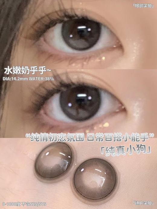 focusmoon 年抛美瞳  纯真小狗 直径14.2mm 商品图13