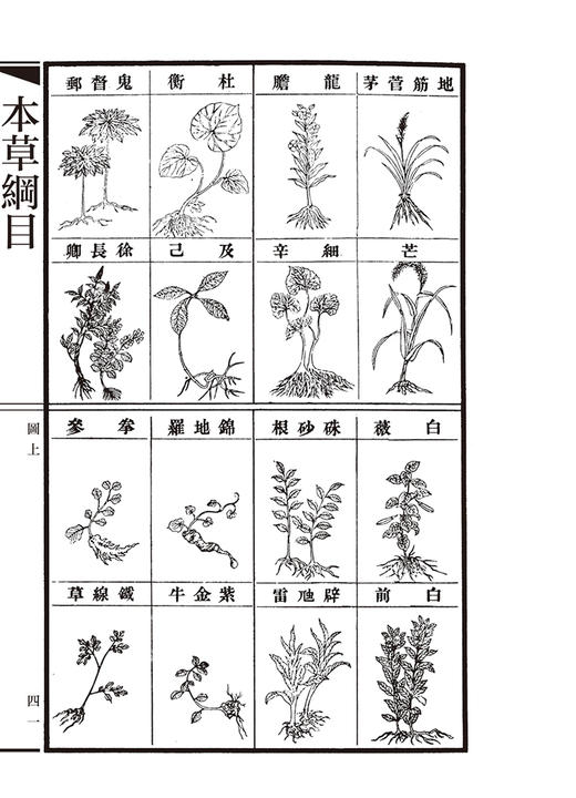 本草綱目 全2冊 國醫典藏影印系列 明 李时珍著 根据张氏味古斋刻本影印附校勘  药物学中国医学 中国人民卫生出版社9787117337274 商品图4