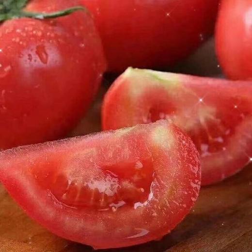 甄源|主推|山东海阳普罗旺斯西红柿4.5-5斤单果2.5两以上约10-16个 商品图2