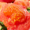 普罗旺斯西红柿番茄 5斤装 FX-A-2261-240410 商品缩略图2