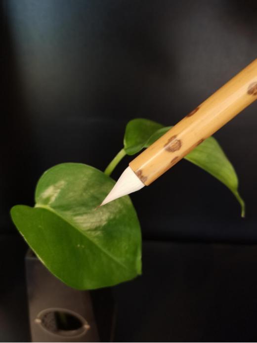 铭谦素毫 缠纸鸡距笔 毛笔 商品图1