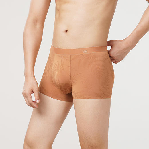 都市丽人铂金舒适60S木莱尔平角裤男士内裤FK34A8 商品图1