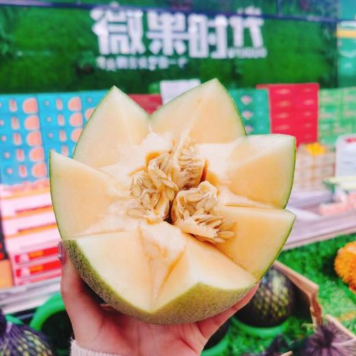 牛奶蜜瓜一个（拼团） 商品图2