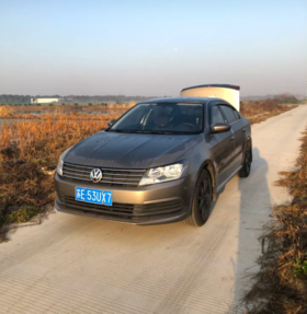 鸟粪树胶难清理，虫胶卫士来帮忙