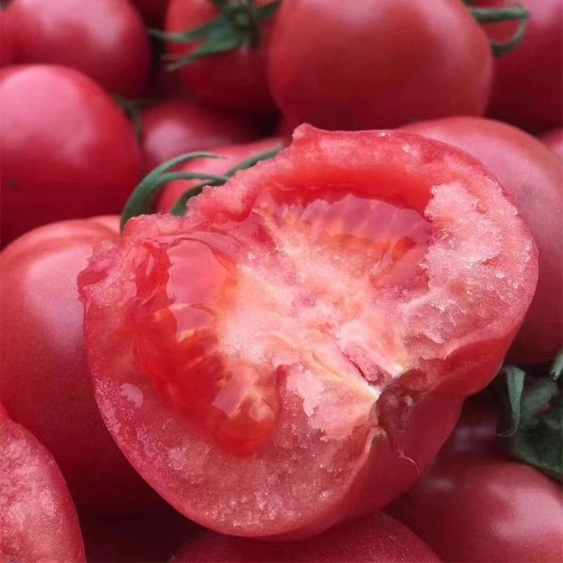 甄源|主推|山东海阳普罗旺斯西红柿4.5-5斤单果2.5两以上约10-16个