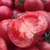 甄源|主推|山东海阳普罗旺斯西红柿4.5-5斤单果2.5两以上约10-16个 商品缩略图0
