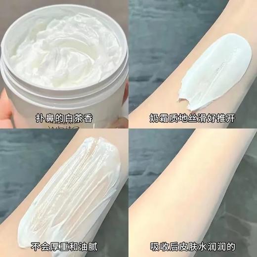 伊丽莎白雅顿白茶香氛身体乳400ml 滋润保湿身体霜 商品图10