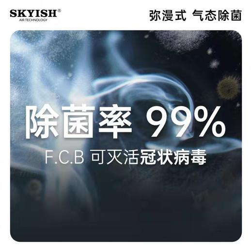 FCB补充装（10ml/瓶） X2 商品图2