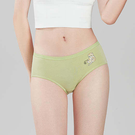 都市丽人基础系列棉质三角裤女士内裤低腰三角裤LK33C1 商品图0