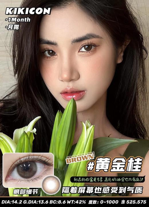 KikiCon 黄金桂 (月抛) 商品图0