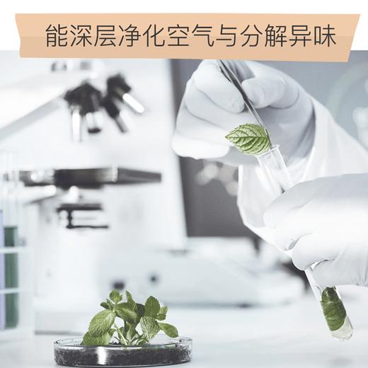宠物抑菌除味喷雾60ml X3 商品图3