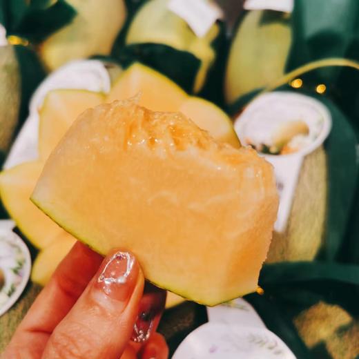 牛奶蜜瓜一个（拼团） 商品图3