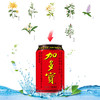 加多宝凉茶310ml*12罐 商品缩略图2