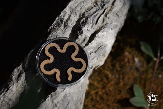 脾胃安然香 商品图5