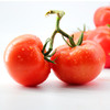 「够鲜！够嫩！够酸甜！」绿行者普罗旺斯西红柿番茄 3斤/5斤装  酸爽可口解腻 皮薄沙瓤多汁 商品缩略图9