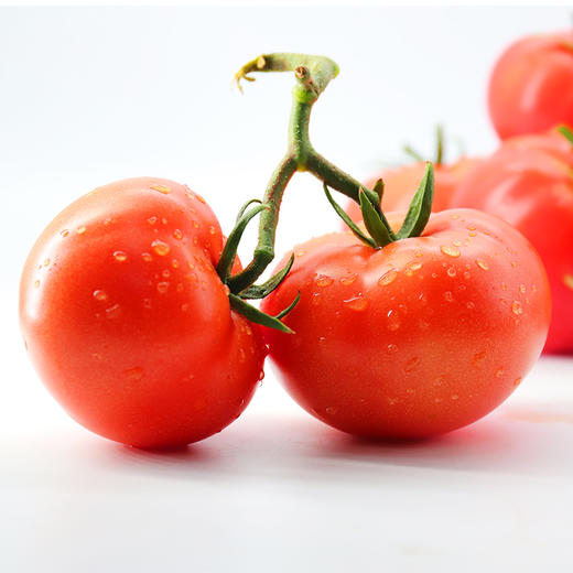 「够鲜！够嫩！够酸甜！」绿行者普罗旺斯西红柿番茄 3斤/5斤装  酸爽可口解腻 皮薄沙瓤多汁 商品图9