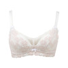 都市丽人自然舒适常规内衣B中厚3/4杯蕾丝文胸三排树脂胶圈BB31A2 商品缩略图5