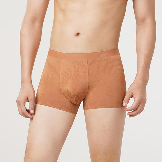 都市丽人铂金舒适60S木莱尔平角裤男士内裤FK34A8 商品图0