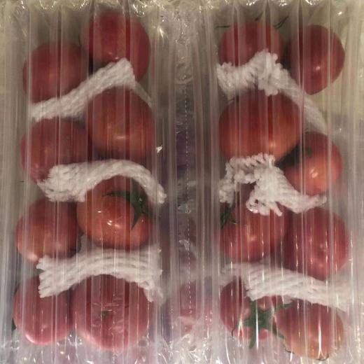甄源|主推|山东海阳普罗旺斯西红柿4.5-5斤单果2.5两以上约10-16个 商品图7