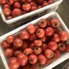 甄源|主推|山东海阳普罗旺斯西红柿4.5-5斤单果2.5两以上约10-16个 商品缩略图8