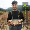 生态大头鱼头 /鱼身（临期折扣）| 合作生产 * Eco-bighead Carp | Coproductio 商品缩略图1