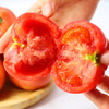 「够鲜！够嫩！够酸甜！」绿行者普罗旺斯西红柿番茄 3斤/5斤装  酸爽可口解腻 皮薄沙瓤多汁 商品缩略图0