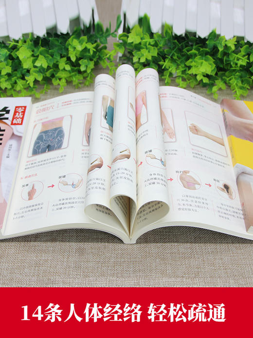 【9.9元包邮】正版零基础巧取穴位全图解 人体穴位图解大全书穴位书籍 图解手法针灸艾灸取穴入门书籍推拿按摩基础书籍中医养生书籍穴位书籍 商品图3