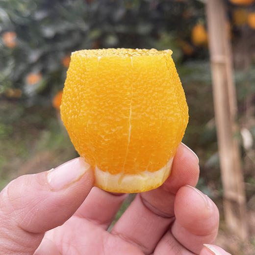 【助农】助力湖南冰糖橙走出大山，香甜可口，清爽多汁~ 商品图2