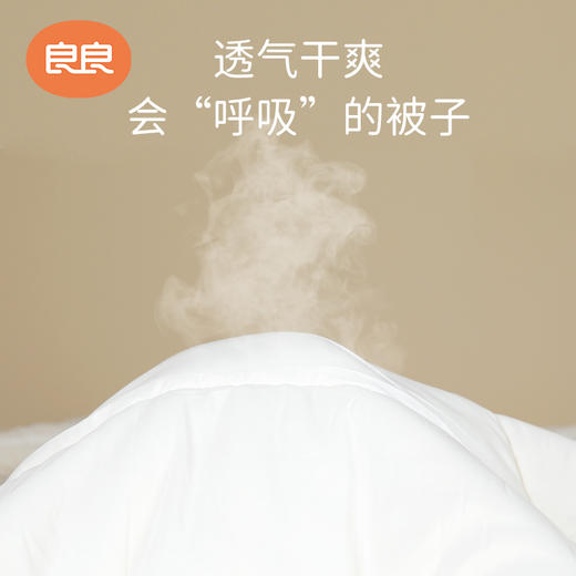 良良成人大豆纤维被 商品图1