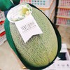 牛奶蜜瓜一个（拼团） 商品缩略图0