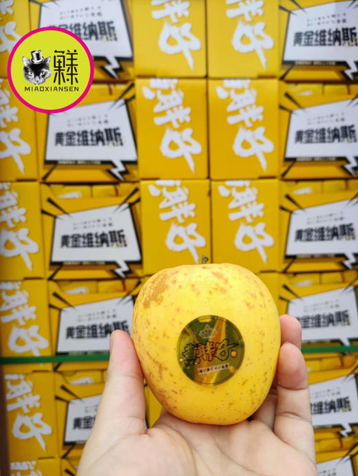 黄金维纳斯～金斑黄胖子（礼盒8-10枚）入 商品图3