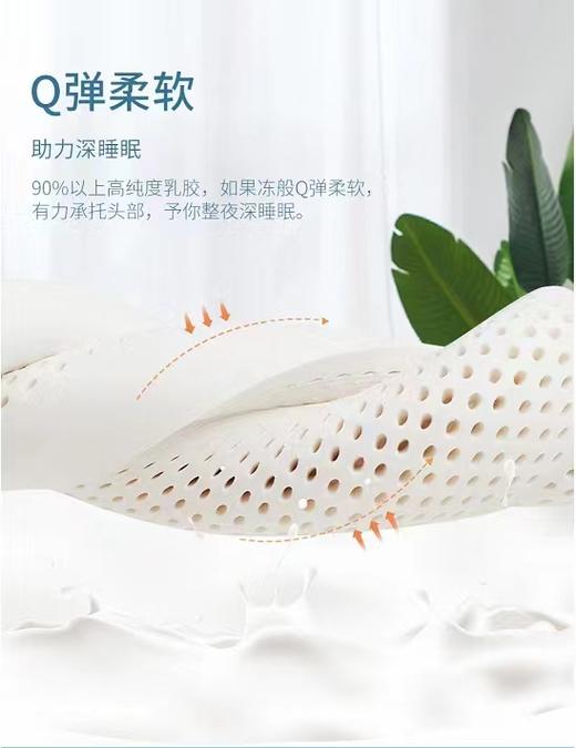 【6F】富安娜 泰国进口抗菌乳胶枕 商品图8
